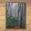 Picture of 'Ravenna Park',  Original Acrylic Painting / Print on Canvas, 18" x 24" x .75"